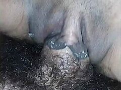 Casais amadores fazem um vídeo de sexo caseiro com uma visão de perto de mamar e andar a cavalo