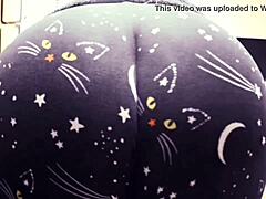Mamele cu fese mari în pantaloni de pisică își arată curbele sexy