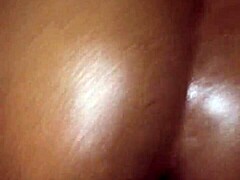 Close-up dari ayam hitam besar wanita gemuk yang sedang beraksi